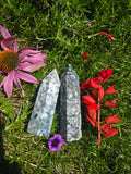 Tree Agate Towers
