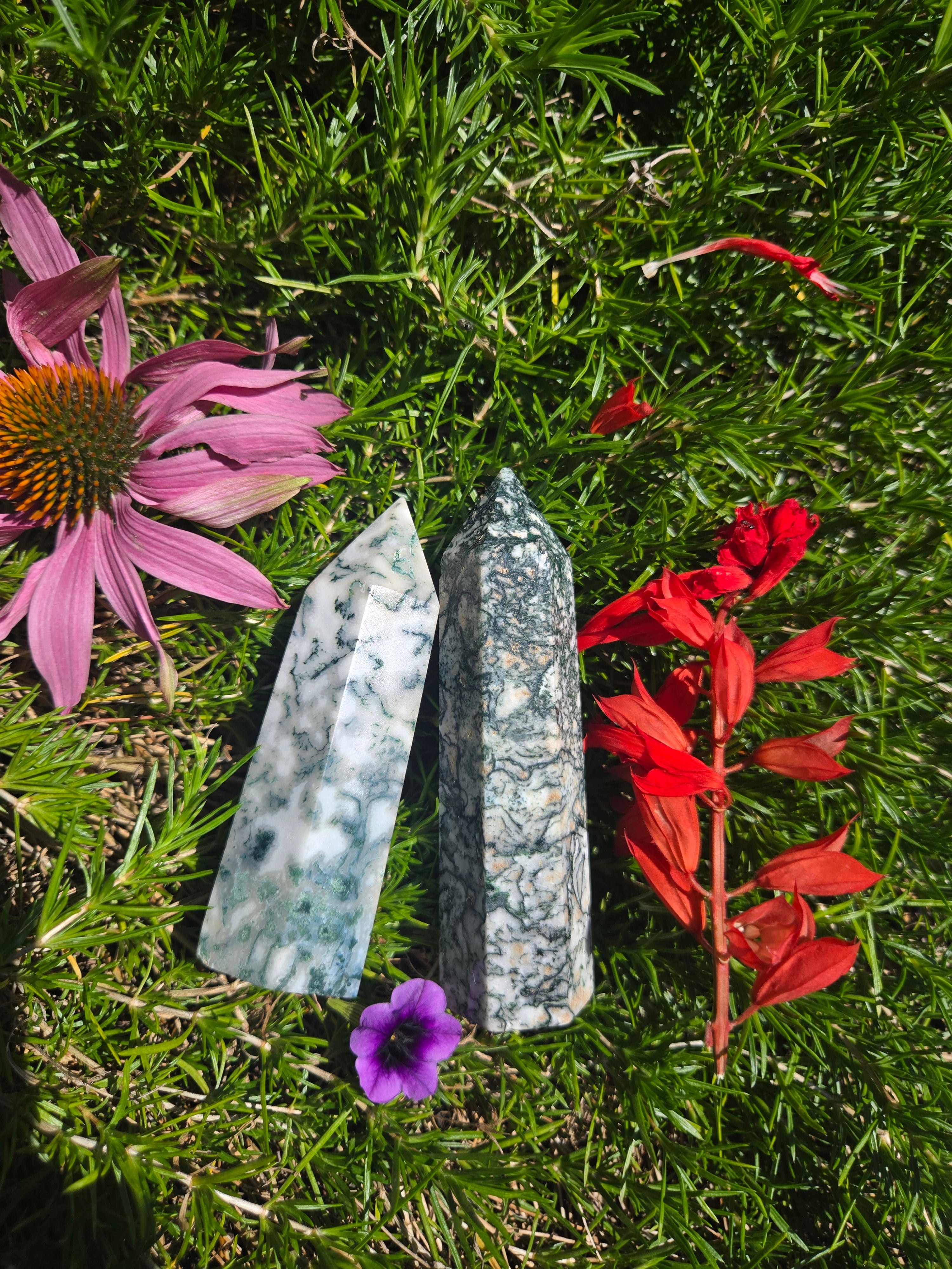 Tree Agate Towers